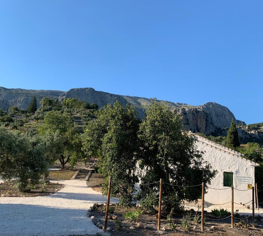 Casa Anita - La Almona Chica Guest House El Chorro Exterior photo