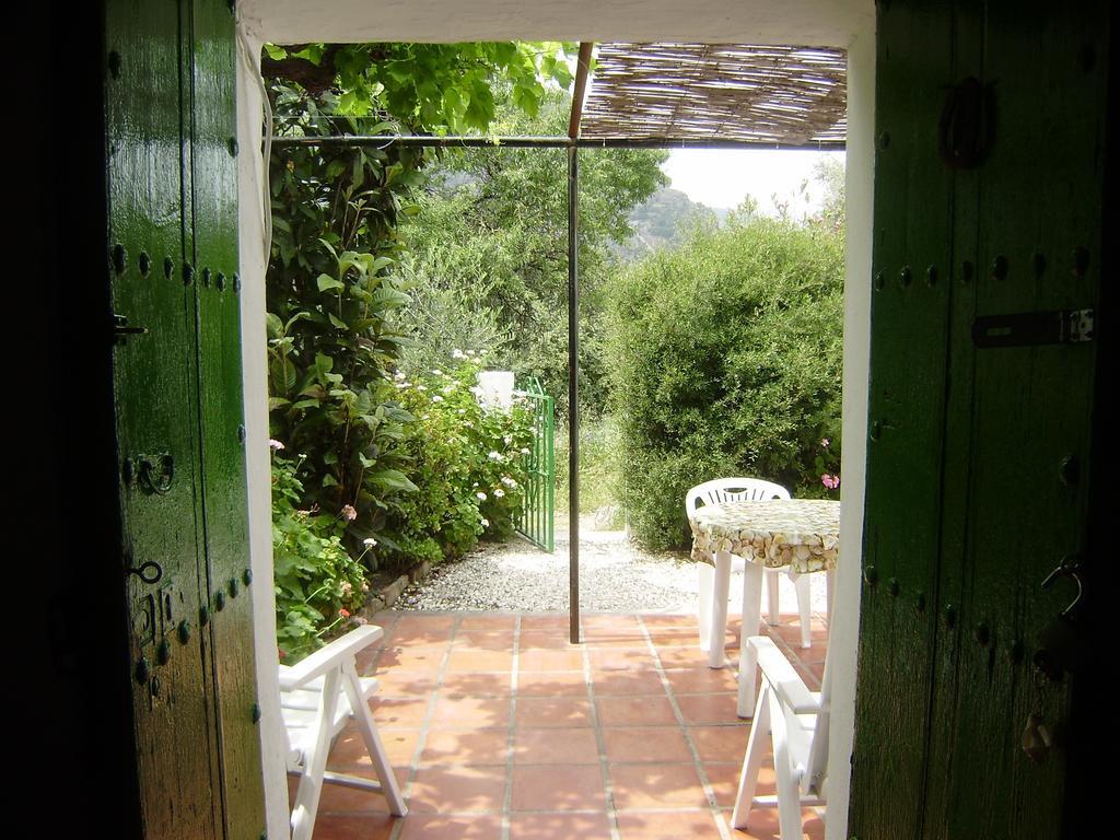Casa Anita - La Almona Chica Guest House El Chorro Room photo